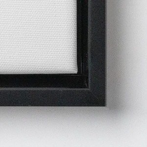 CanvasFrameTypes F09B 300wp 1
