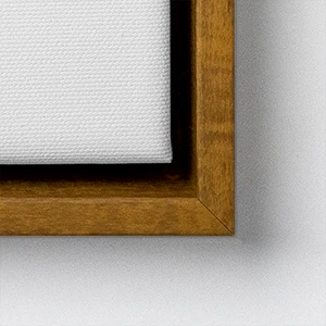 CanvasFrameTypes F09D 300wp 1