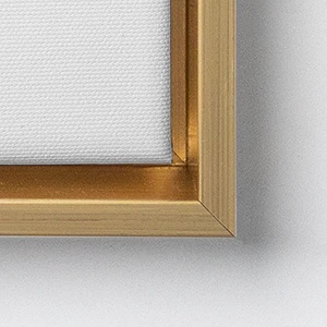 CanvasFrameTypes F09G 300wp 1