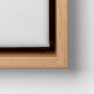 CanvasFrameTypes F09L 300wp 1