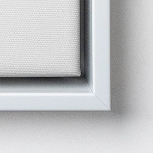CanvasFrameTypes F09W 300wp 1