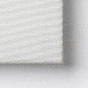 CanvasFrameTypes None 300wp 1