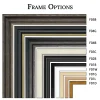 CP Frames