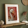 Bird poster prints