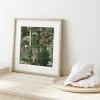 Forest poster prints