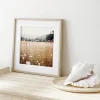 Floral poster prints