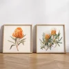 Floral wall art prints
