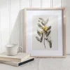 Leaf wall art prints