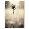 Floral wall art