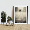 Floral wall art prints
