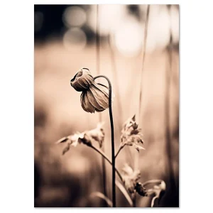Floral wall art
