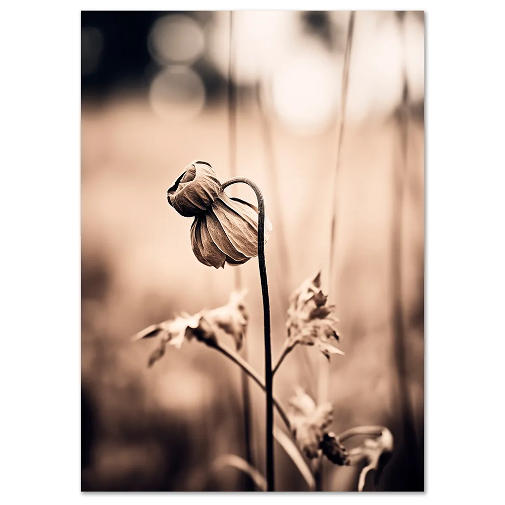 KAC21A_P0_floral-wall-art-VeeArt Floral wall art
