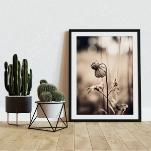Floral wall art prints
