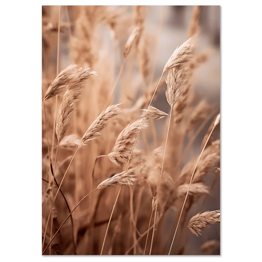 KAC28A_P0_floral-wall-art-VeeArt Floral wall art