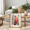 Bird poster prints