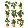 Floral wall art