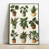 Floral wall art prints