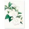Floral wall art
