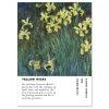 Claude Monet Yellow Irises large wall art