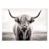 Animal wall art