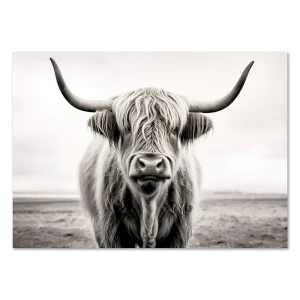 Animal wall art