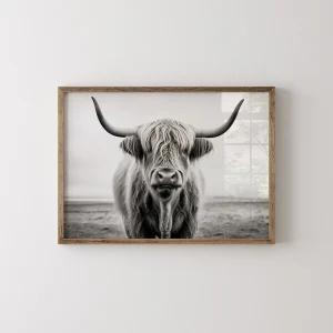 Animal wall art prints