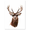 Animal wall art