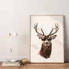 Animal wall art prints