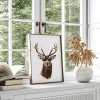 Animal canvas prints