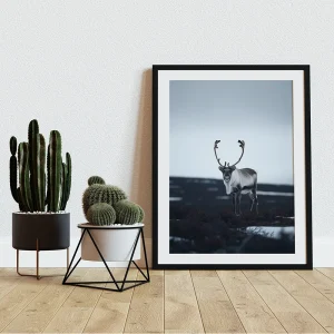 Animal wall art prints