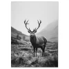 Animal wall art
