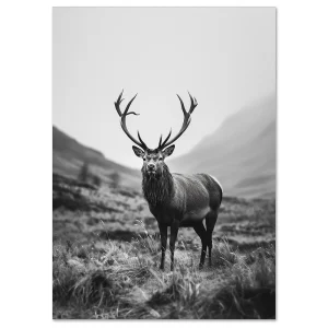 Animal wall art