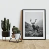 Animal wall art prints