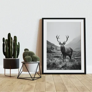 Animal wall art prints