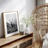 Animal canvas prints