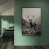 Animal large wall art
