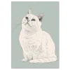 Animal wall art