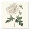 Graceful Chrysanthemum Floral large wall art