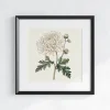 Graceful Chrysanthemum Floral wall art prints