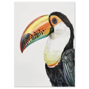 Exotic Toucan Portrait Bird large wall art