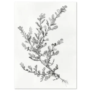 Botanical Sketch I Leaf large wall art