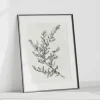 Botanical Sketch I Leaf wall art prints
