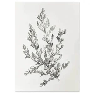 Botanical Sketch II Leaf large wall art