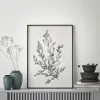 Botanical Sketch II Leaf wall art prints