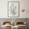 Botanical Sketch II Leaf poster prints