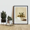 Olive Bowl's Essence Still Life wall art prints
