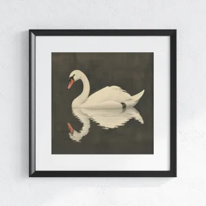 Graceful Swan's Reflection Animal wall art prints