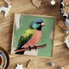 Rainbow Finch Melody Bird wall art prints