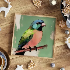 Rainbow Finch Melody Bird wall art prints