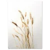 Wheat Elegance Leaf large wall art